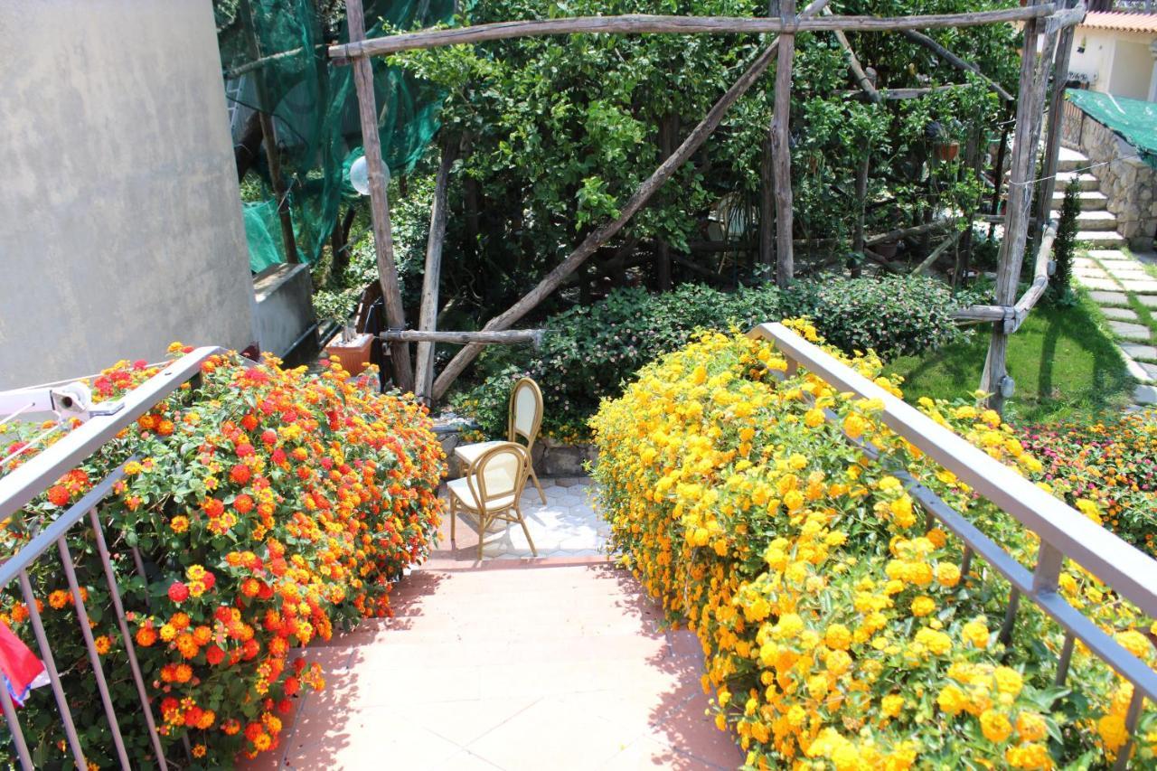 Casa Vacanze Chery Sorrento Kültér fotó
