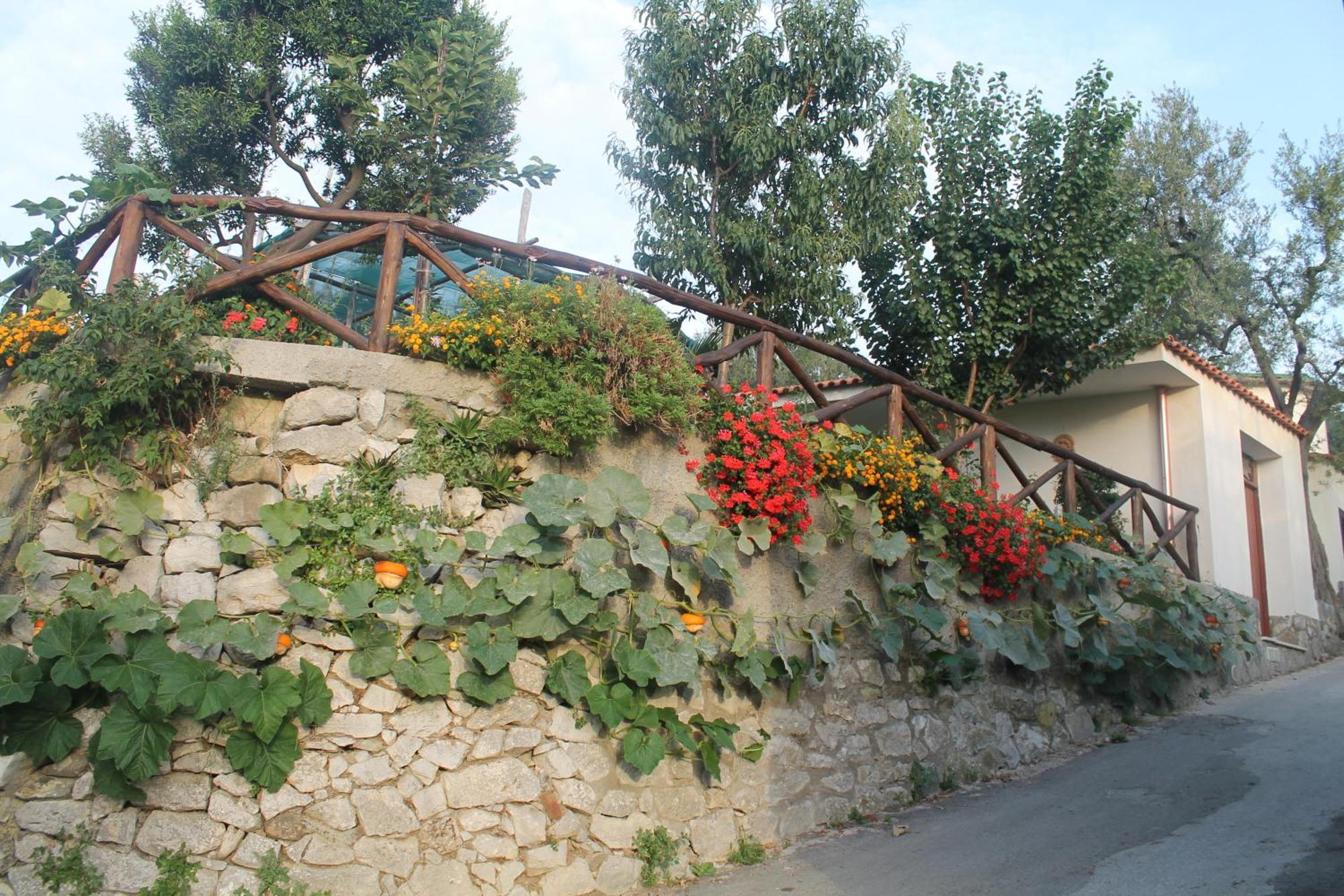 Casa Vacanze Chery Sorrento Kültér fotó