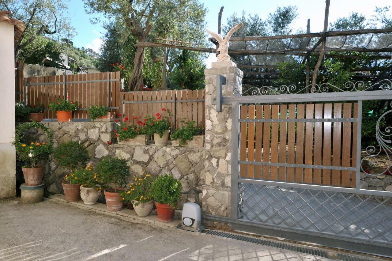 Casa Vacanze Chery Sorrento Kültér fotó